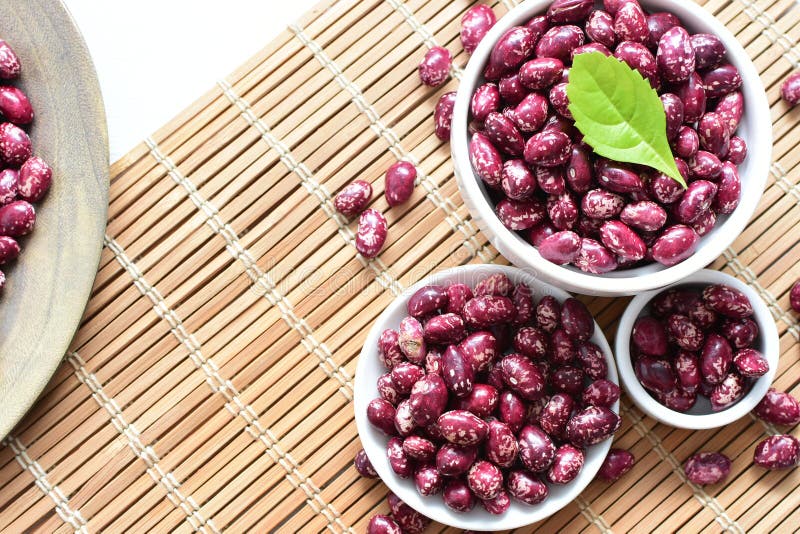 Phaseolus vulgaris Red beans displayed in different containers royalty free stock photography Phaseolus vulgaris Red beans displayed in different containers royalty free stock photography
