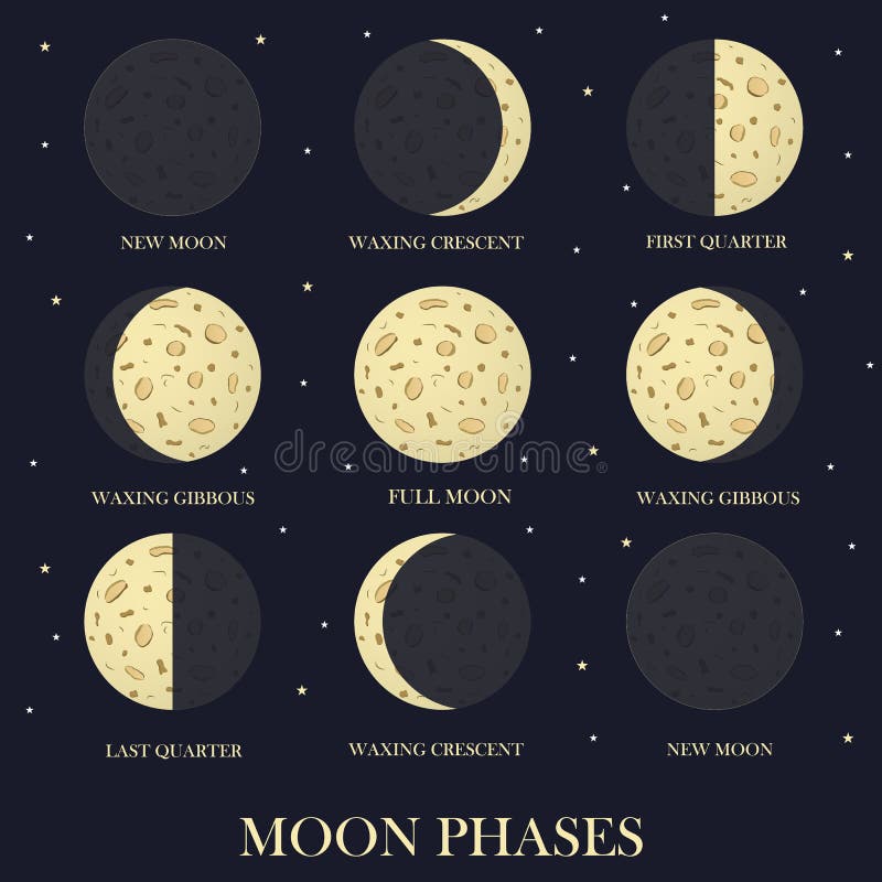 The Phases of the Moon in the Night Star Sky. Stock Vector