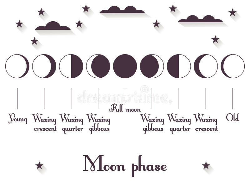 The Phases of the Moon. the Whole Cycle from New Moon To Full Stock Vector  - Illustration of crescent, phases: 79171982