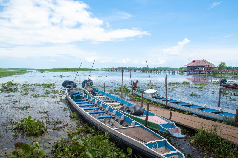 PHATTHALUNG, TAILANDIA: 13 de octubre de 2018 - el Thale-Noi es una nación fotos de archivo PHATTHALUNG, TAILANDIA: 13 de octubre de 2018 - el Thale-Noi es una nación fotos de archivo