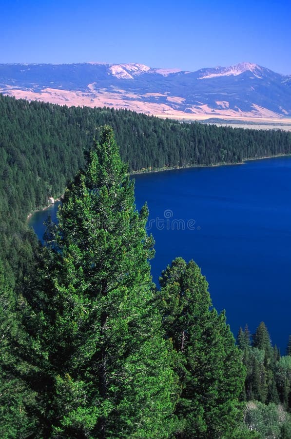 Phelps See - Wyoming stockbild Phelps See - Wyoming stockbild