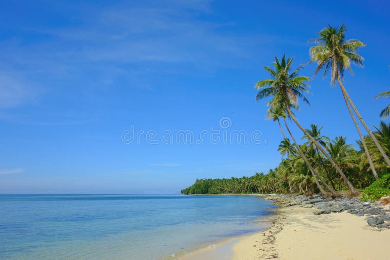 Philippine Beach with Palm Trees Stock Image - Image of shore, exotic ...