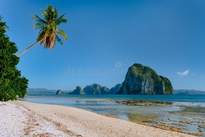Philippines natural scenery beach at low tide, palm tree and amazing Pinagbuyutan island in background. Exotic nature royalty free stock photography Philippines natural scenery beach at low tide, palm tree and amazing Pinagbuyutan island in background. Exotic nature royalty free stock photography