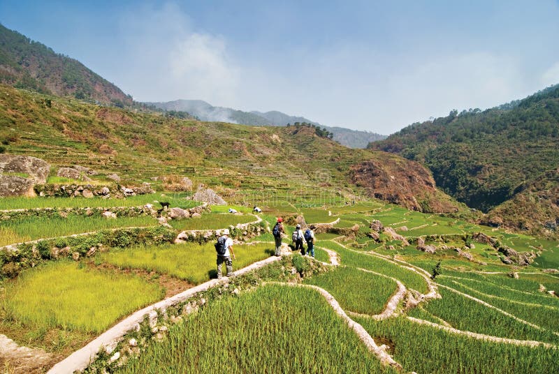 Philippines Rice Terraces stock photos