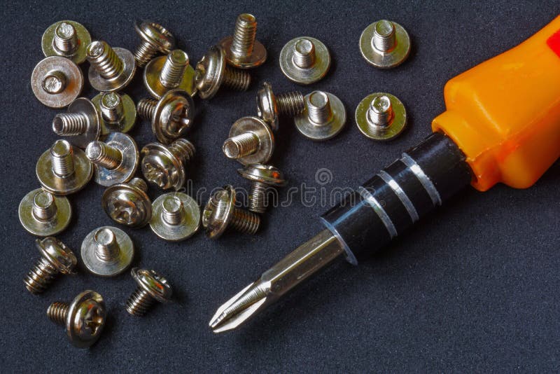 Philips Screwdriver and Screws Stock Photo Image of twirl, repair