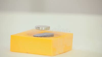 Phisics in Action, Magnetic Levitation Experiment Stock Video