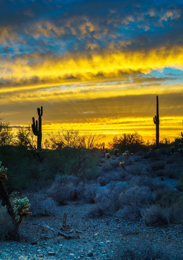 Sunset Over Phoenix Desert Landscape Stock Image - Image of saguaro ...