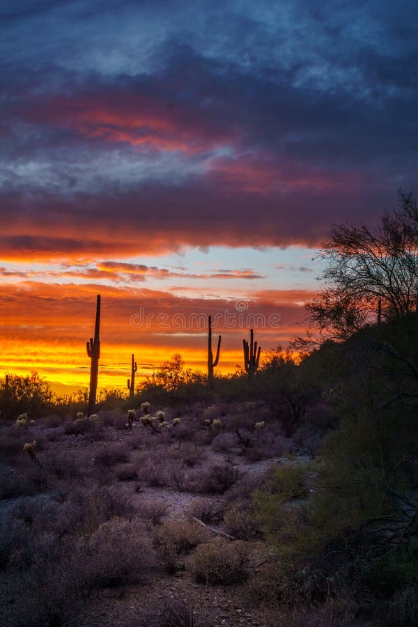 Phoenix Arizona Night Scene after Sunset Stock Photo - Image of travel ...