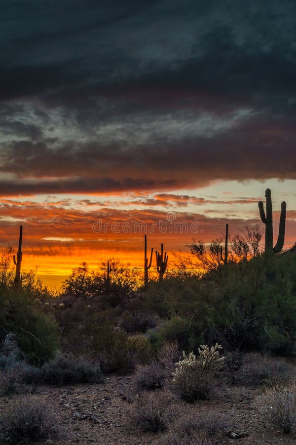 Phoenix Arizona Night Scene after Sunset Stock Photo Image of travel, parks 77059022