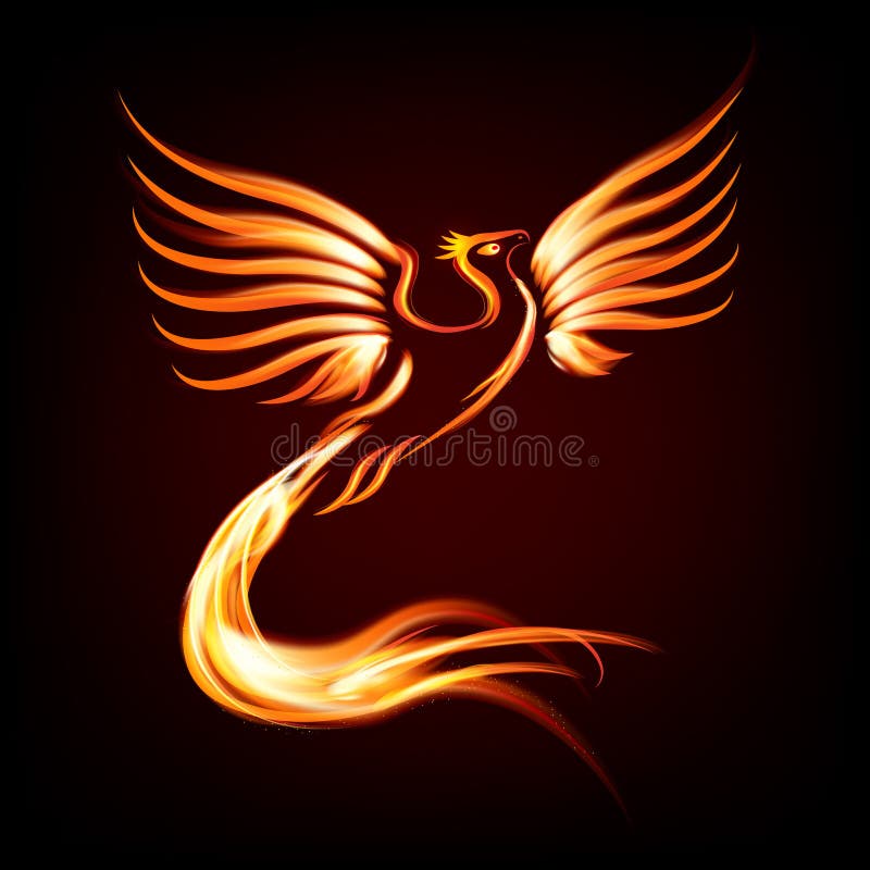 Phoenix fier bird Royalty Free Vector Image - VectorStock