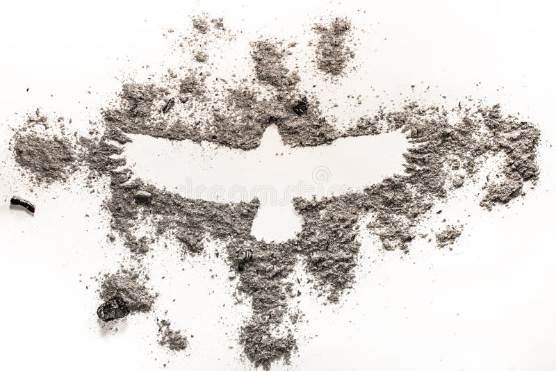 Phoenix Dessin Doiseau Daigle En Cendre Comme Feu