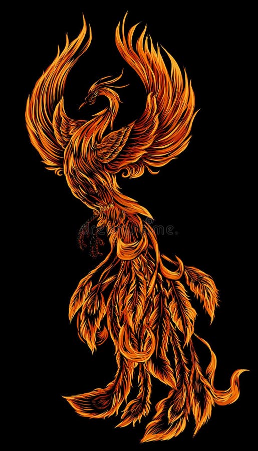 Phoenix Fire bird illustration and character design. Hand drawn Phoenix tattoo