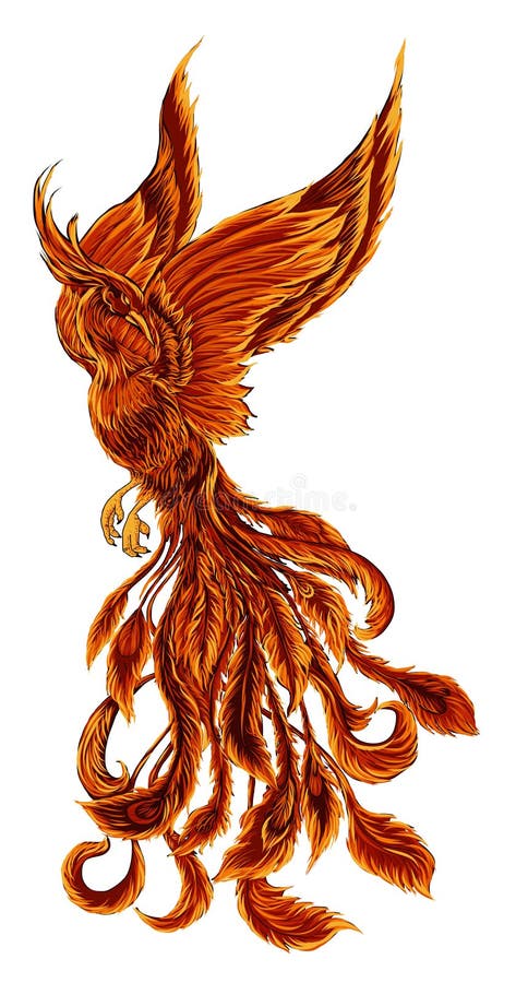 Phoenix Fire bird illustration and character design.