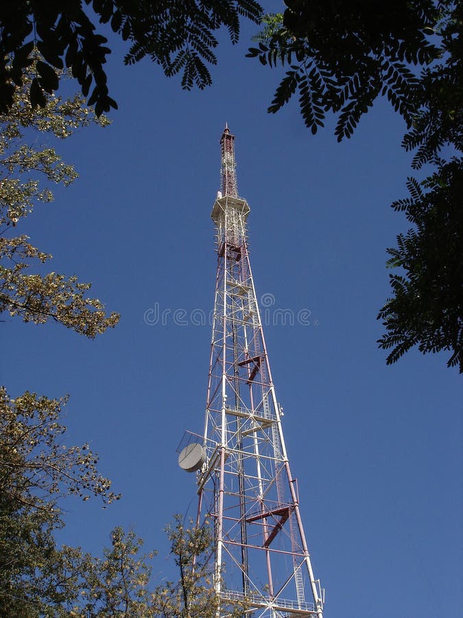 Phone Antenna Picture. Image 7707455