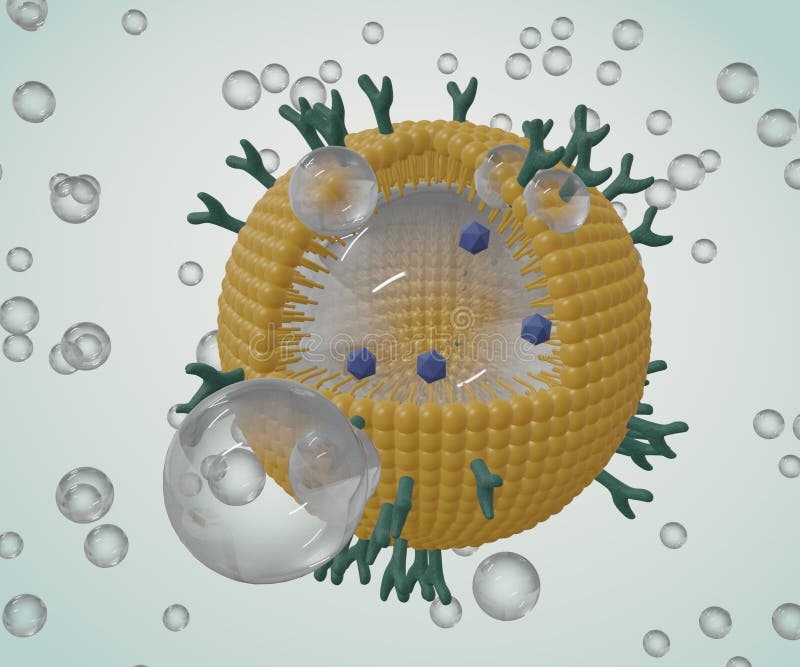 Phospholipid Coated Nanobubble with Microbubbles and Nanobubbles Stock ...