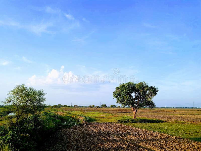 The Beauty of Small Village of Bihar in India Stock Photo - Image of ...