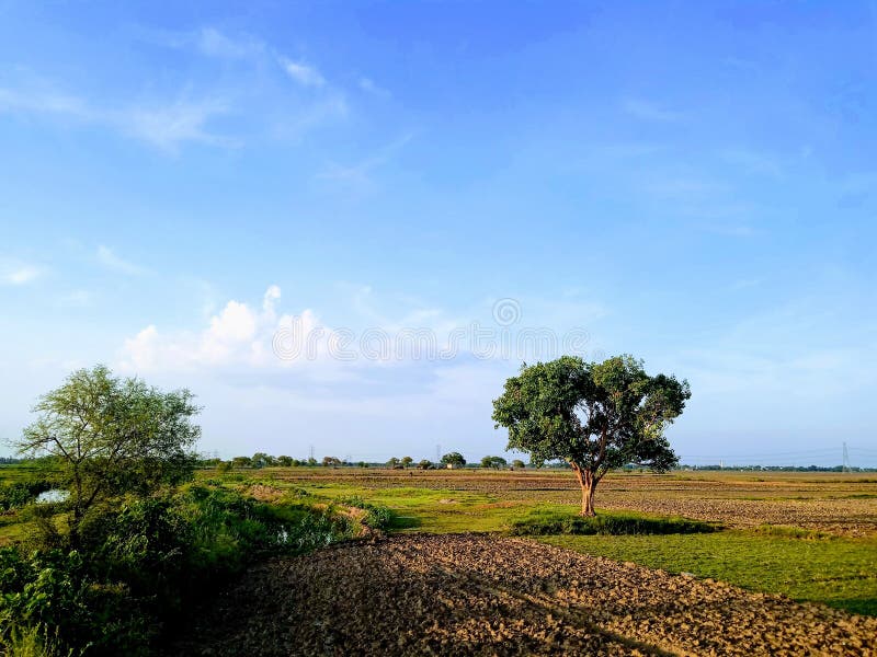 The Beauty of Small Village of Bihar in India Stock Photo - Image of nature, bihar: 188629466 The Beauty of Small Village of Bihar in India Stock Photo - Image of nature, bihar: 188629466