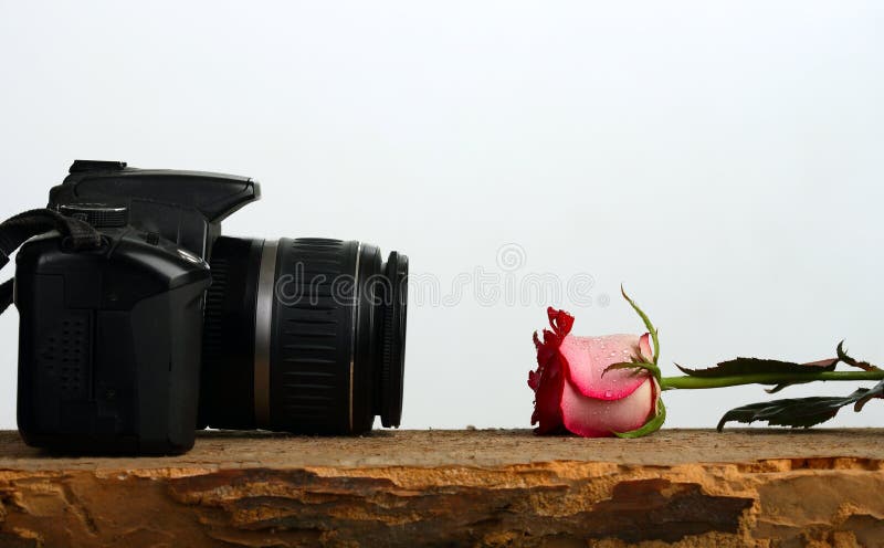 Photo camera and rose lie against each other