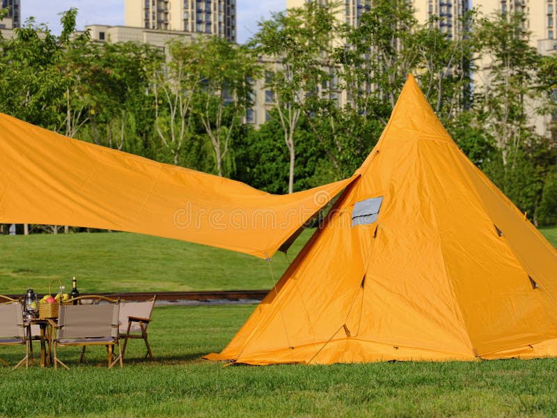 Photo of Camping Tents in the Park Stock Photo Image of outdoor
