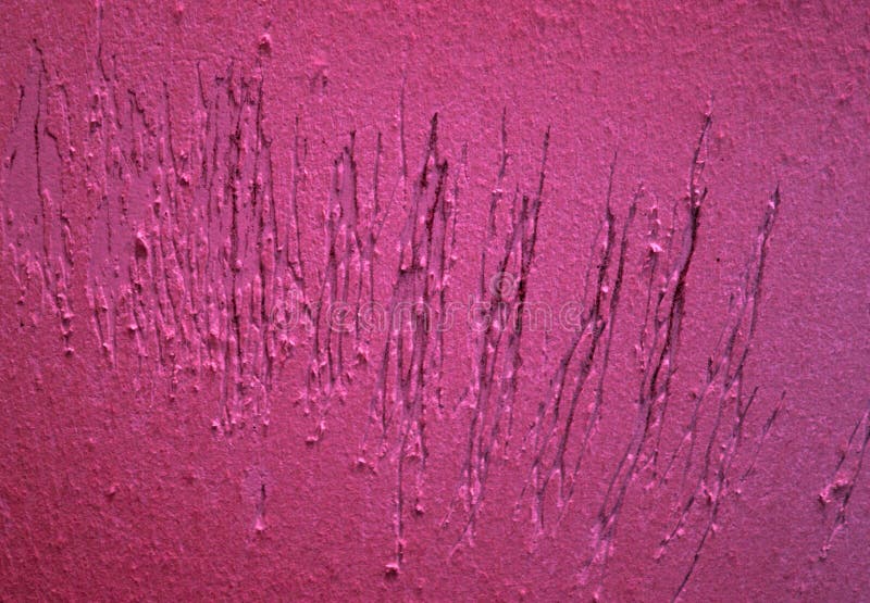 A cat scratches on the wall