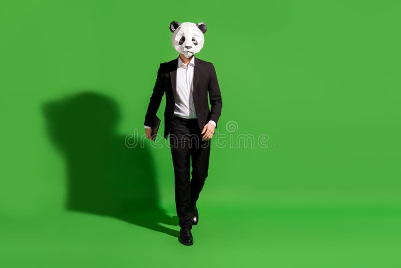 Photo of Cheerful Cool Guy Step Carry Netbook Wear Panda Head Black Tuxedo  Isolated on Green Color Background Stock Photo - Image of animal,  freelancer: 226347668
