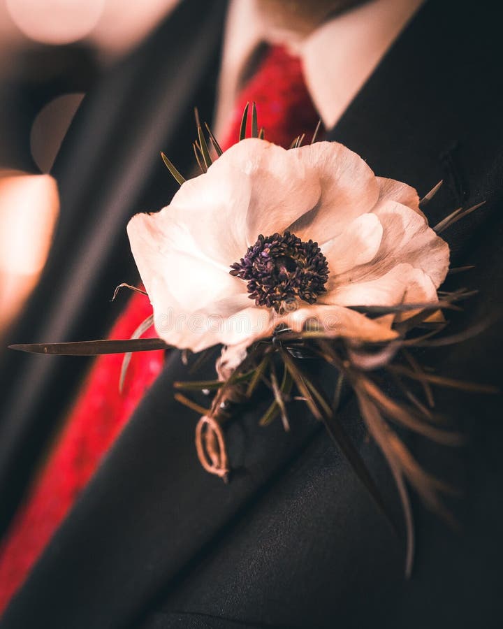 A closeup shot of a flower in the breast pocket of a groom. A closeup shot of a flower in the breast pocket of a groom