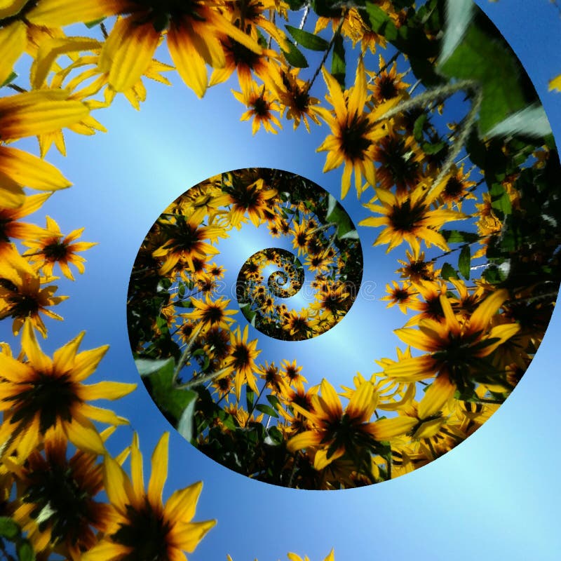 Photo en spirale florale originale image stock Photo en spirale florale originale image stock