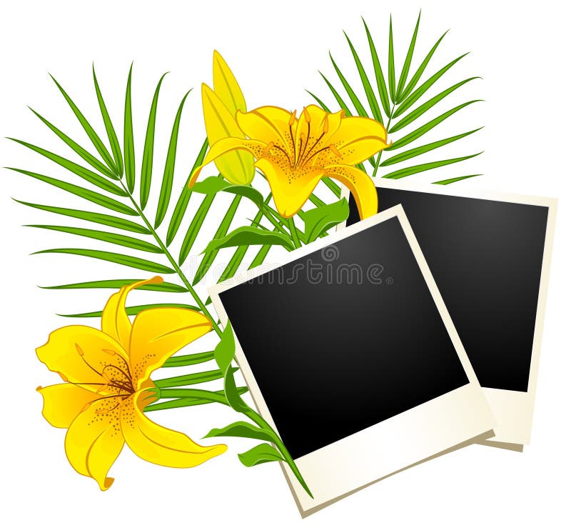 Photo frames with flowers stock vector. Illustration of element 19337534