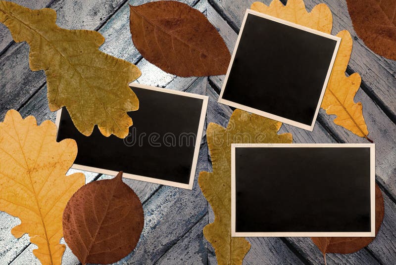 Photo frames over autumn leaves