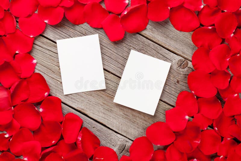 Photo frames over wood and red rose petals