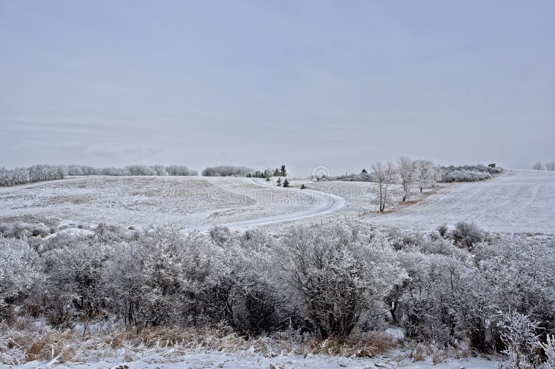 Frosty Fields of Southern Alberta Stock Image - Image of farm, winding ...