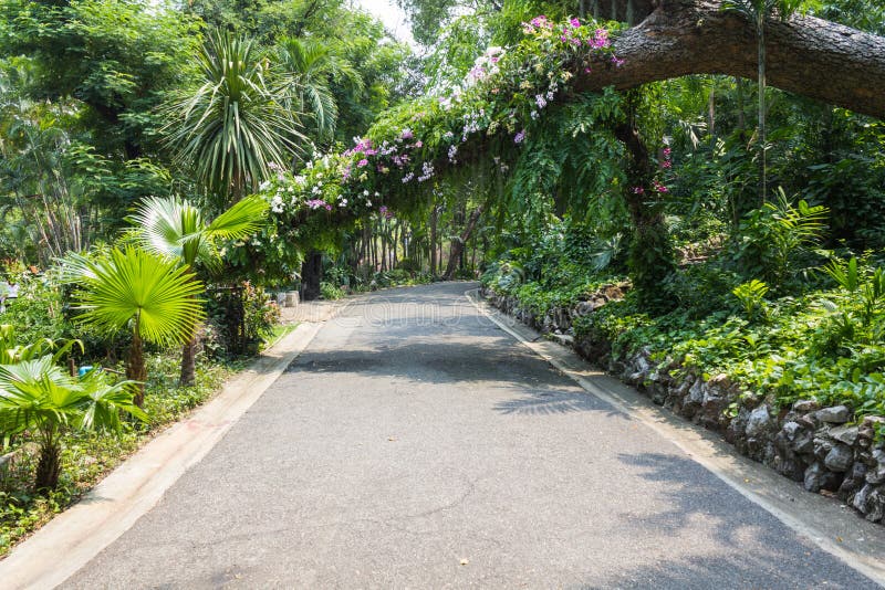 Garden passage stock photo. Image of covered, athenian 58187578