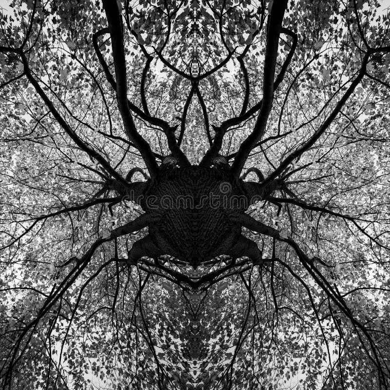 Photo manipulation - tree black and white mandala