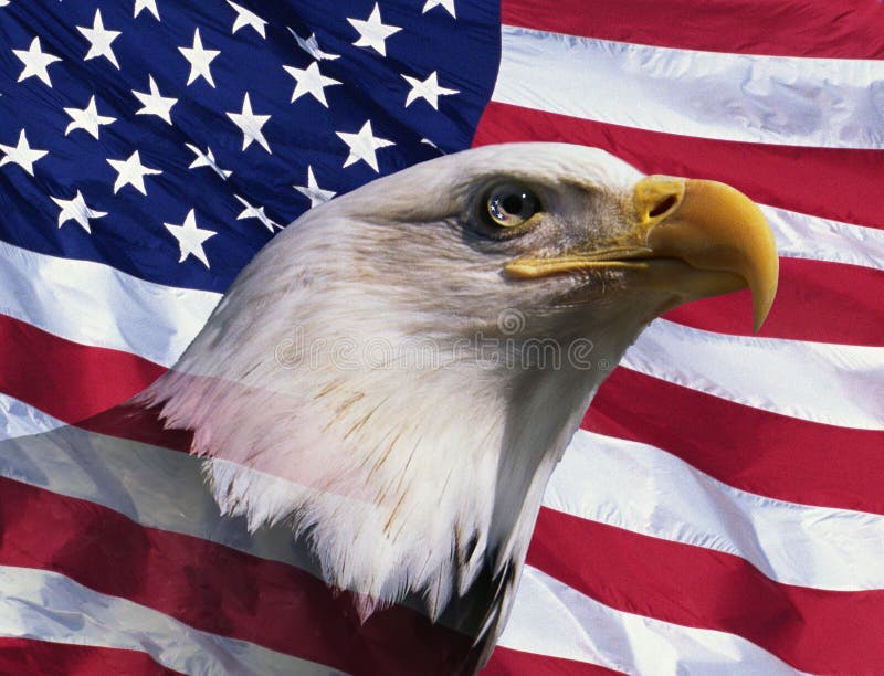 961 American Flag Bald Eagle Stock Photos - Free & Royalty-Free Stock  Photos from Dreamstime