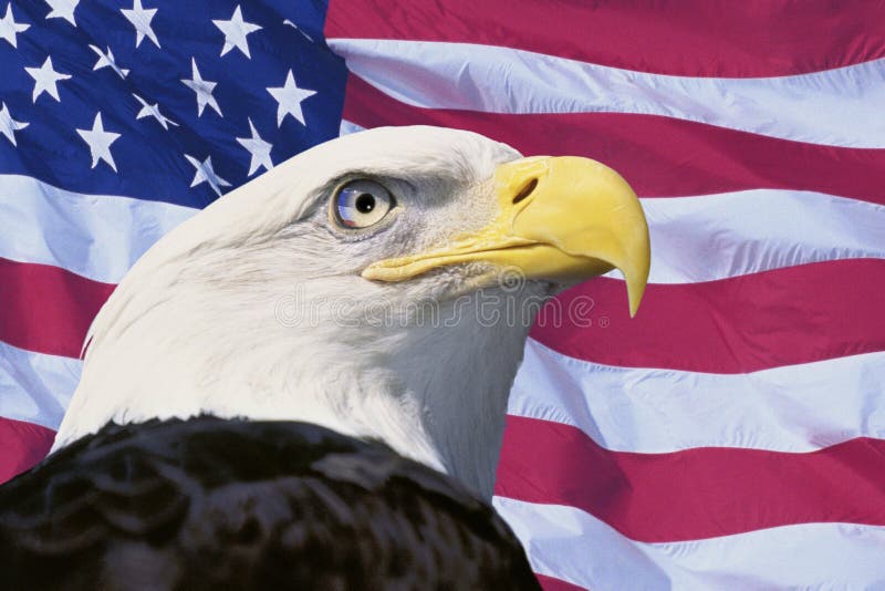 Photo montage: American flag and bald eagle