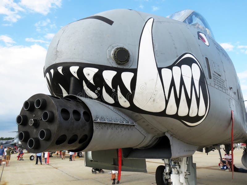 A 10 Warthog Gun Tanks