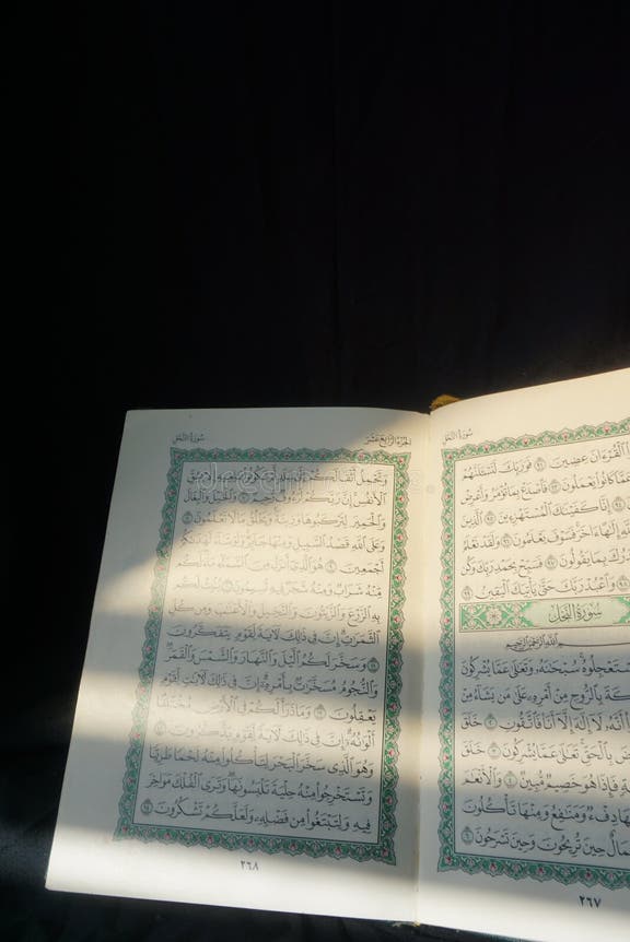 holi dream islam