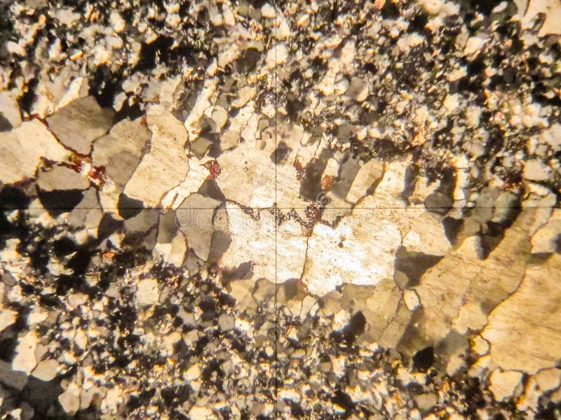 Photo of the Optical Mineralogy and Thin Section Microscopy of