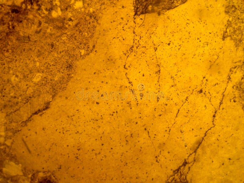 Photo of the Optical Mineralogy and Thin Section Microscopy of