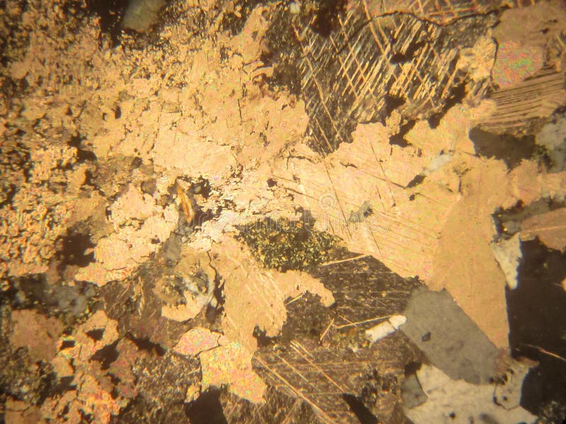 Photo of the Optical Mineralogy and Thin Section Microscopy of