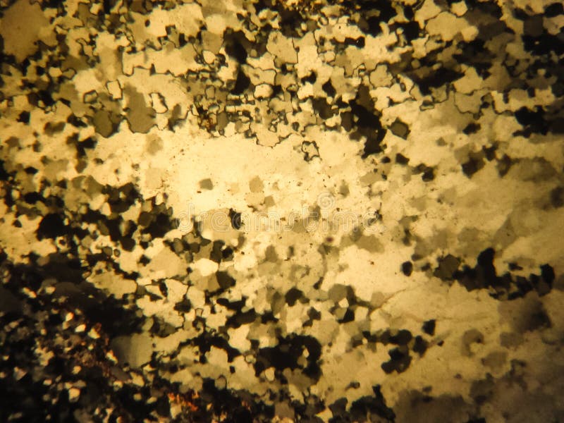 Photo of the Optical Mineralogy and Thin Section Microscopy of