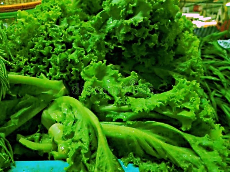 Pile of Lettuce, closeup stock image. Image of background - 148599117