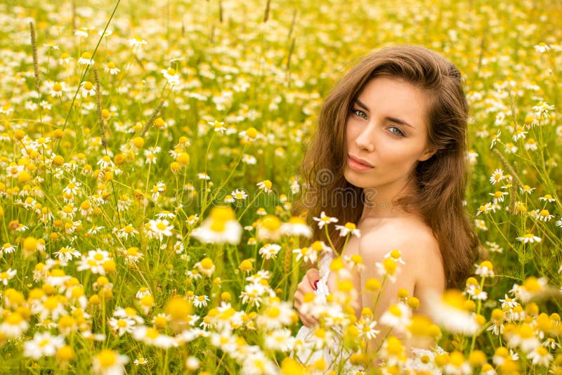 Photo of pretty brunette woman in chamomile field royalty free stock photos Photo of pretty brunette woman in chamomile field royalty free stock photos