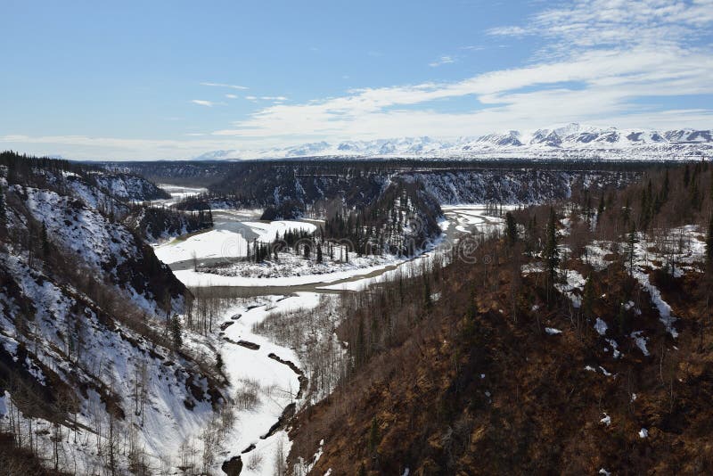 Photo s landscape is took during trip in train from Anchorage to Fairbanks