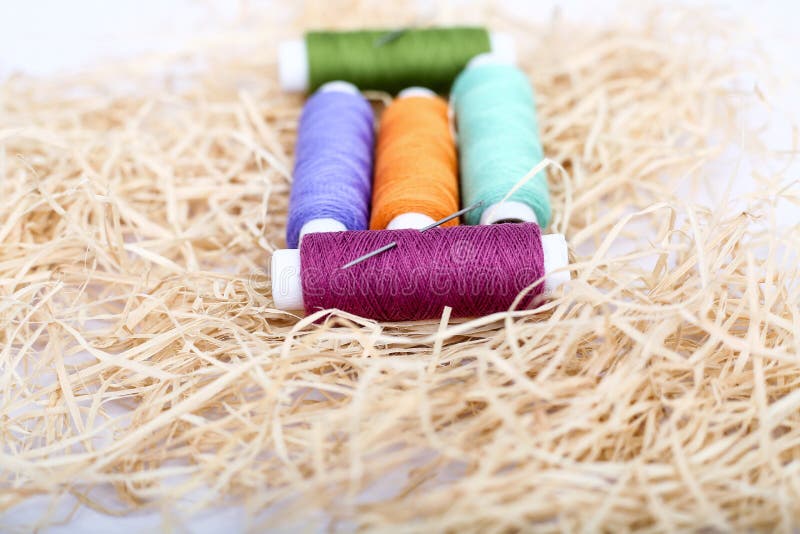 Photo of sewing thread with needle on the rafi grass royalty free stock photos