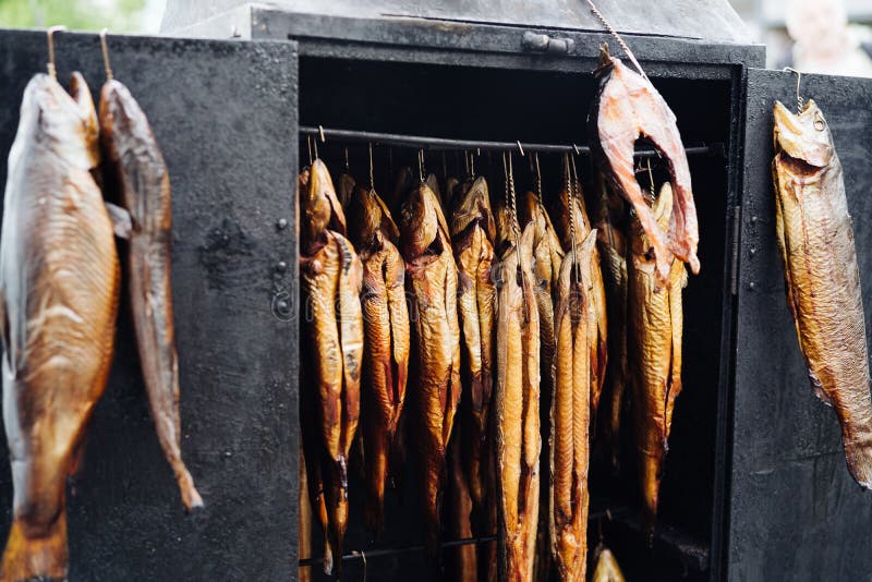 Photo of Smoked Fish Hanged Inside an Oven Stock Photo Image of