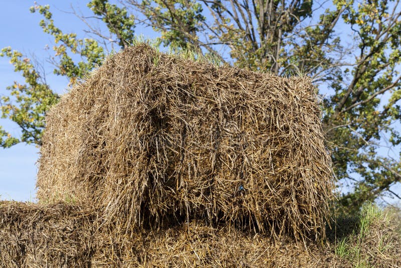 Square stack of straw stock images
