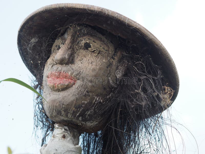 Closeup of a scarecrow in a rice field in Bali, Indonesia