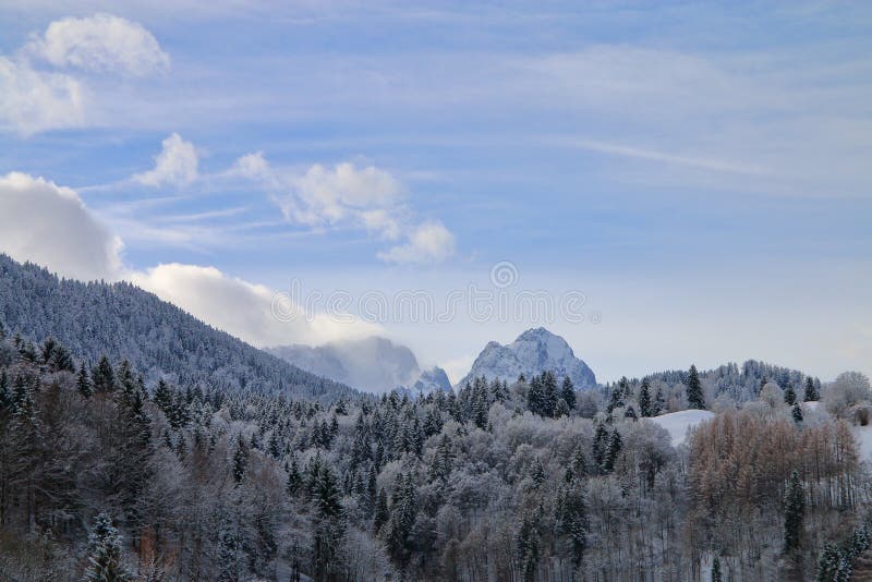 Snow-covered forest on the slopes of the mountains. royalty free stock photos Snow-covered forest on the slopes of the mountains. royalty free stock photos