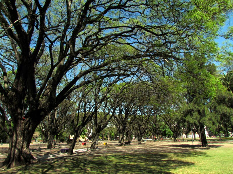 City of La Plata Municipal Park - Argentina Stock Image - Image of ...